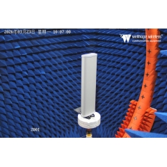 LoRaWAN 5G เสาอากาศหลายตัว